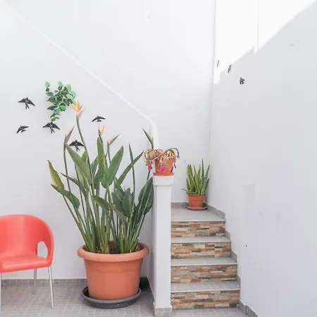 Amelia - Surf Camp Lägenhet